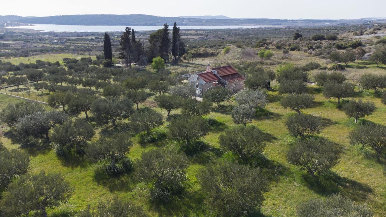 שיבניק Holiday Home Olive מראה חיצוני תמונה