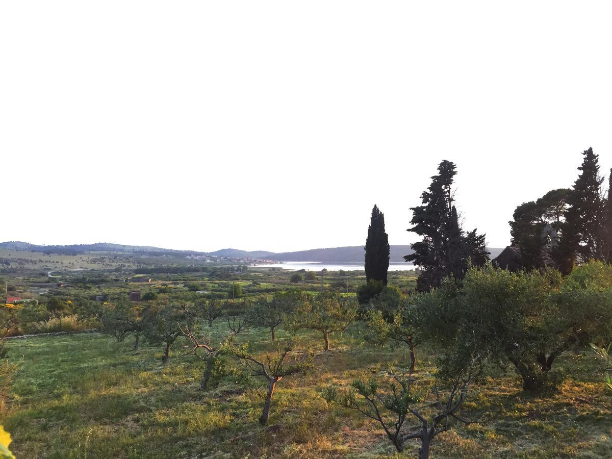 שיבניק Holiday Home Olive מראה חיצוני תמונה