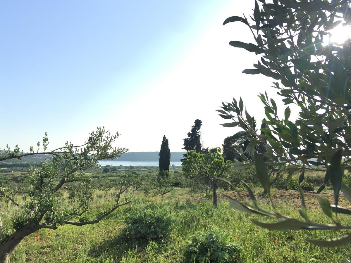 שיבניק Holiday Home Olive מראה חיצוני תמונה