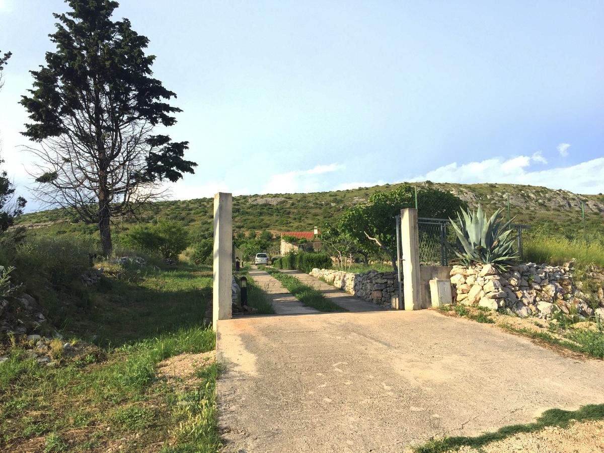 שיבניק Holiday Home Olive מראה חיצוני תמונה